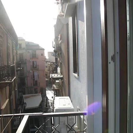 Guest house Arbaria 3*
